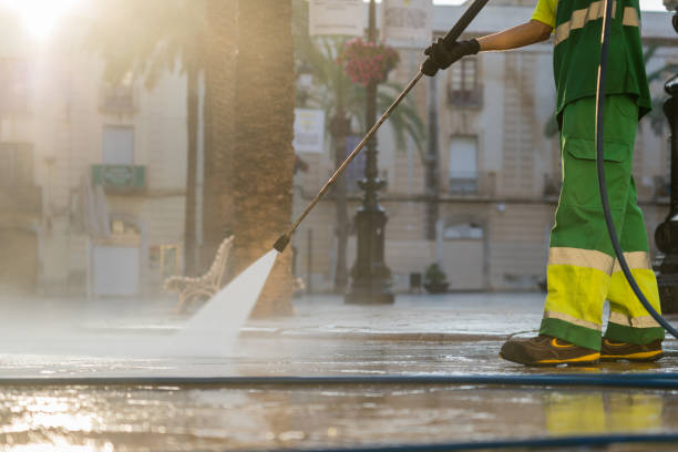 Best Driveway Pressure Washing  in Arlington Heights, IL